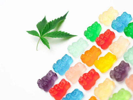 CBD vs THC: It’s Not a Fight, It’s a Vibe
