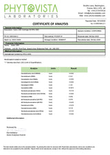 217786876.webp